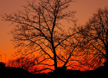 Photo: Urban Sunset, Christine Matthews