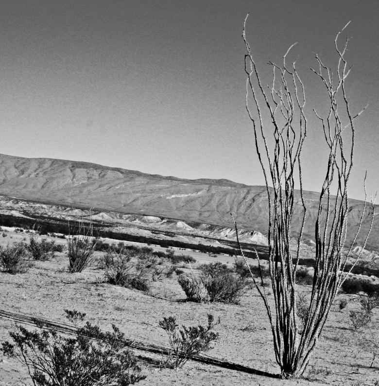 Photo: Creative Commons