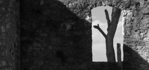 Photo: Creative Commons